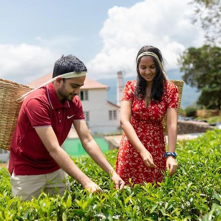 Lost & Found Hostels - Mandaramnuwara Mandaran Newara Экстерьер фото